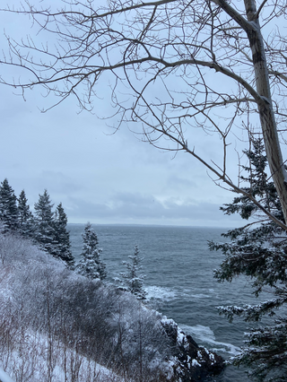 Maine By Liza Toppa